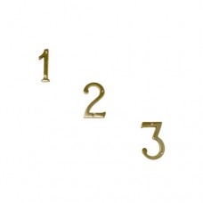3 Inch Solid Brass Bright Brass  Finish House Numbers